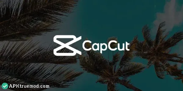 CapCut