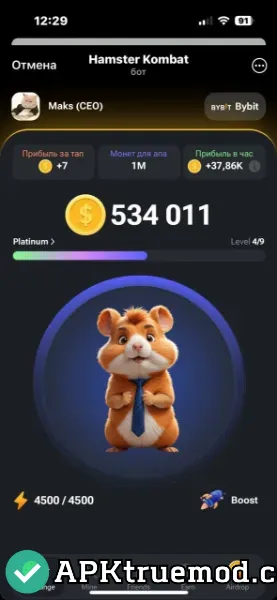 Hamster Kombat coin